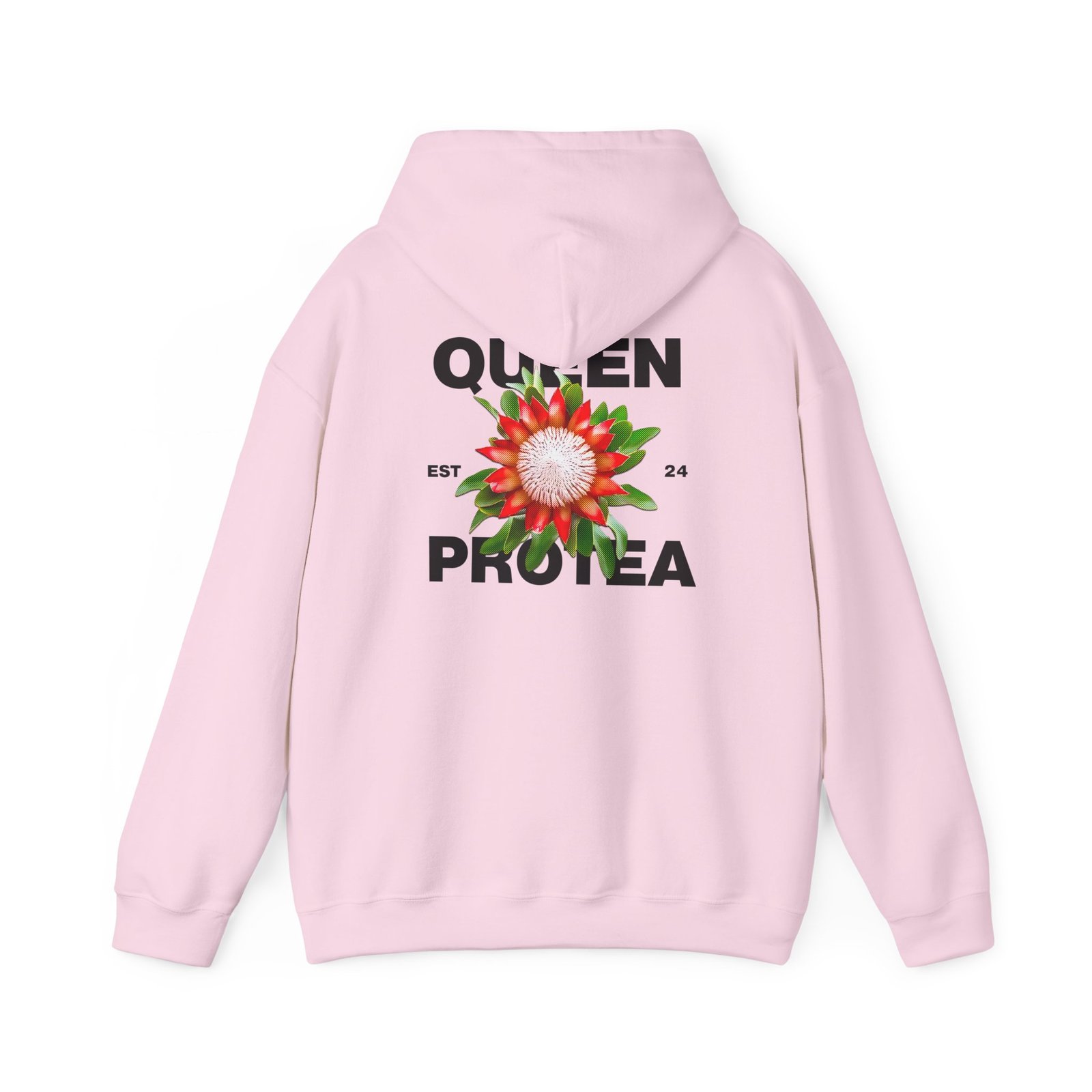 Queen Protea 11 Queen Protea