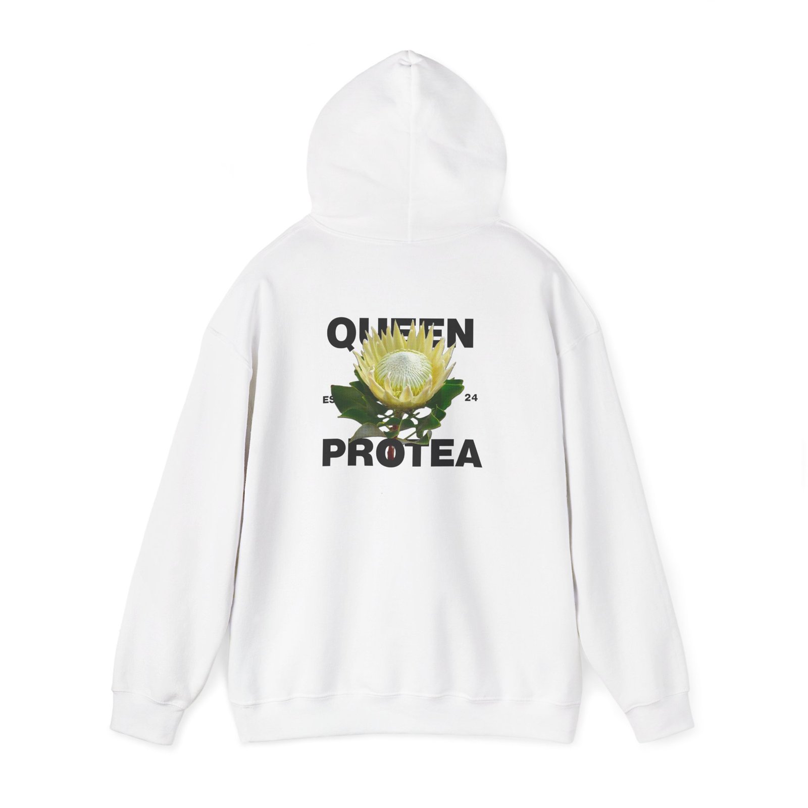 Queen Protea 3 Queen Protea