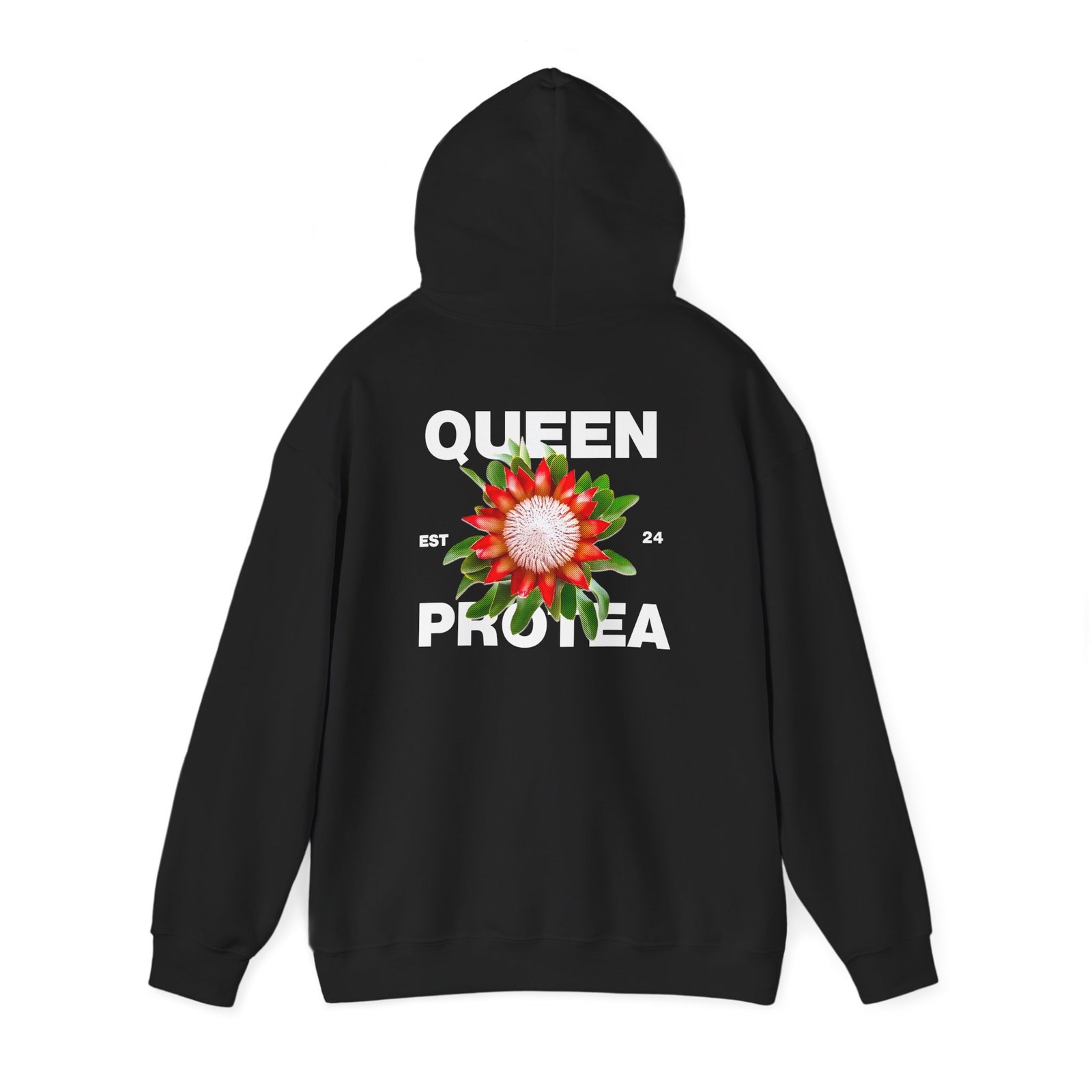 Queen Protea 6 Queen Protea
