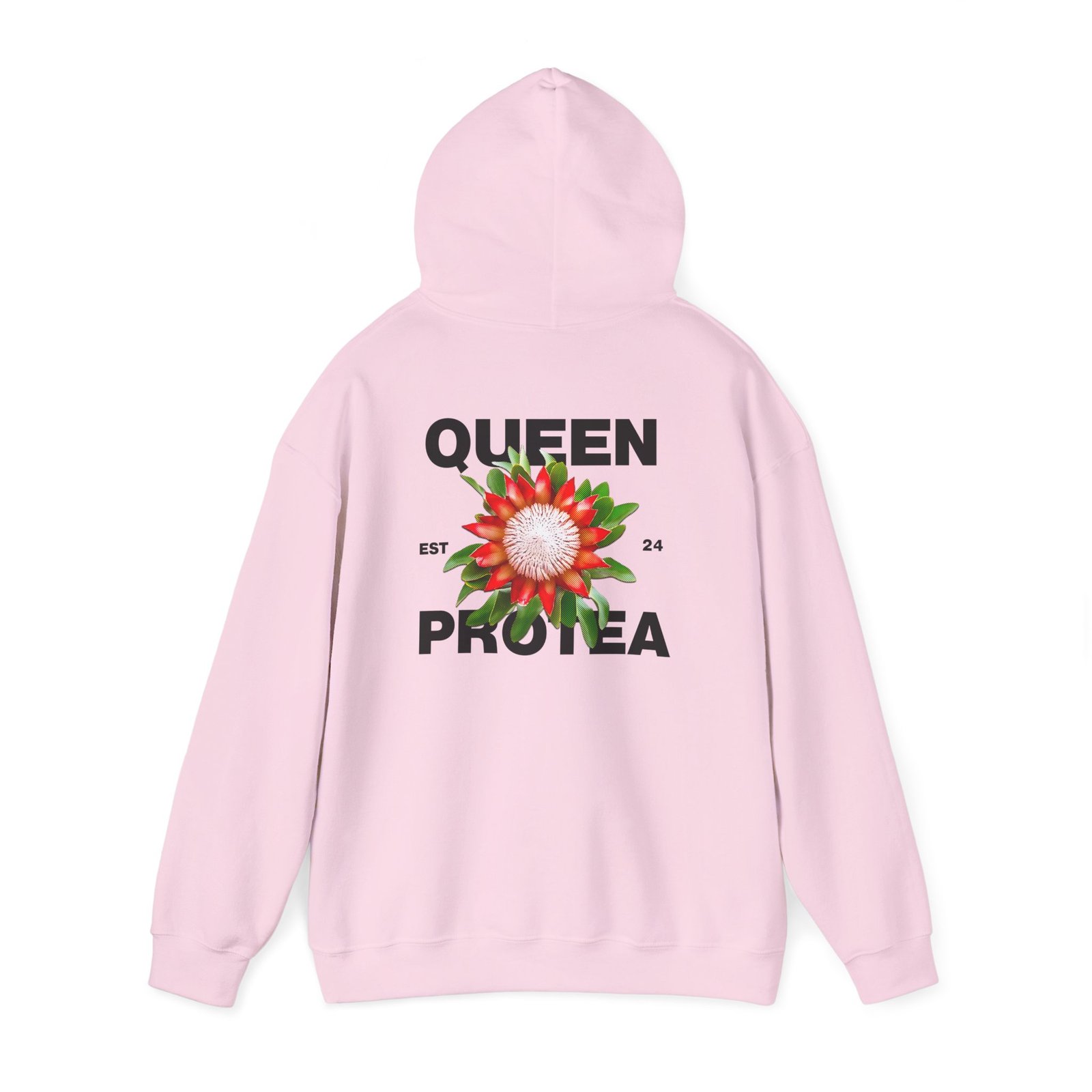 Queen Protea 9 Queen Protea