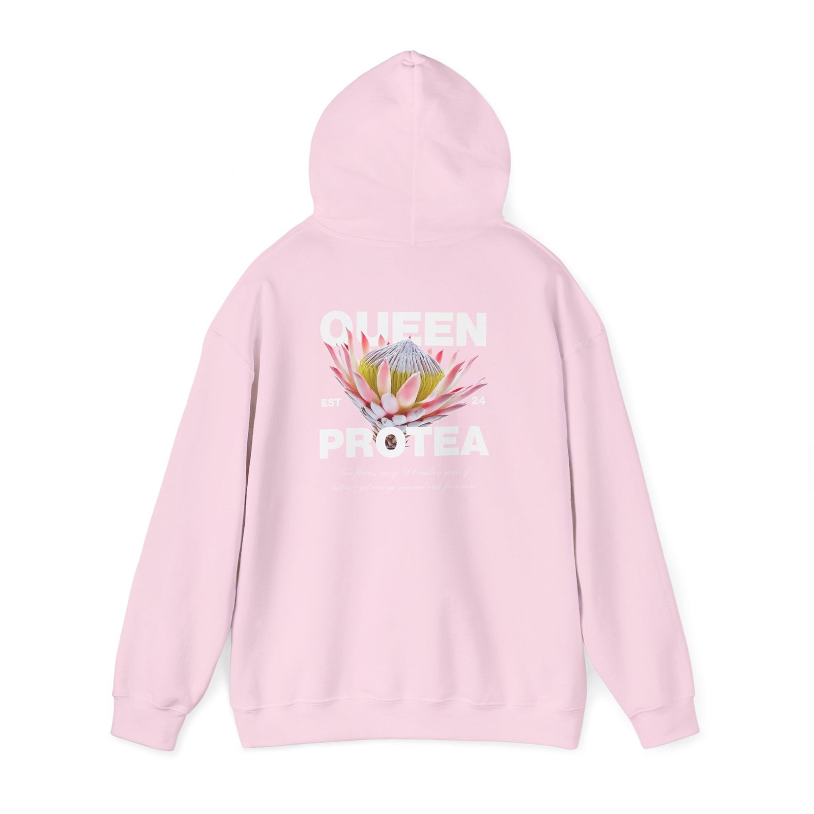 Queen Protea 5 Queen Protea