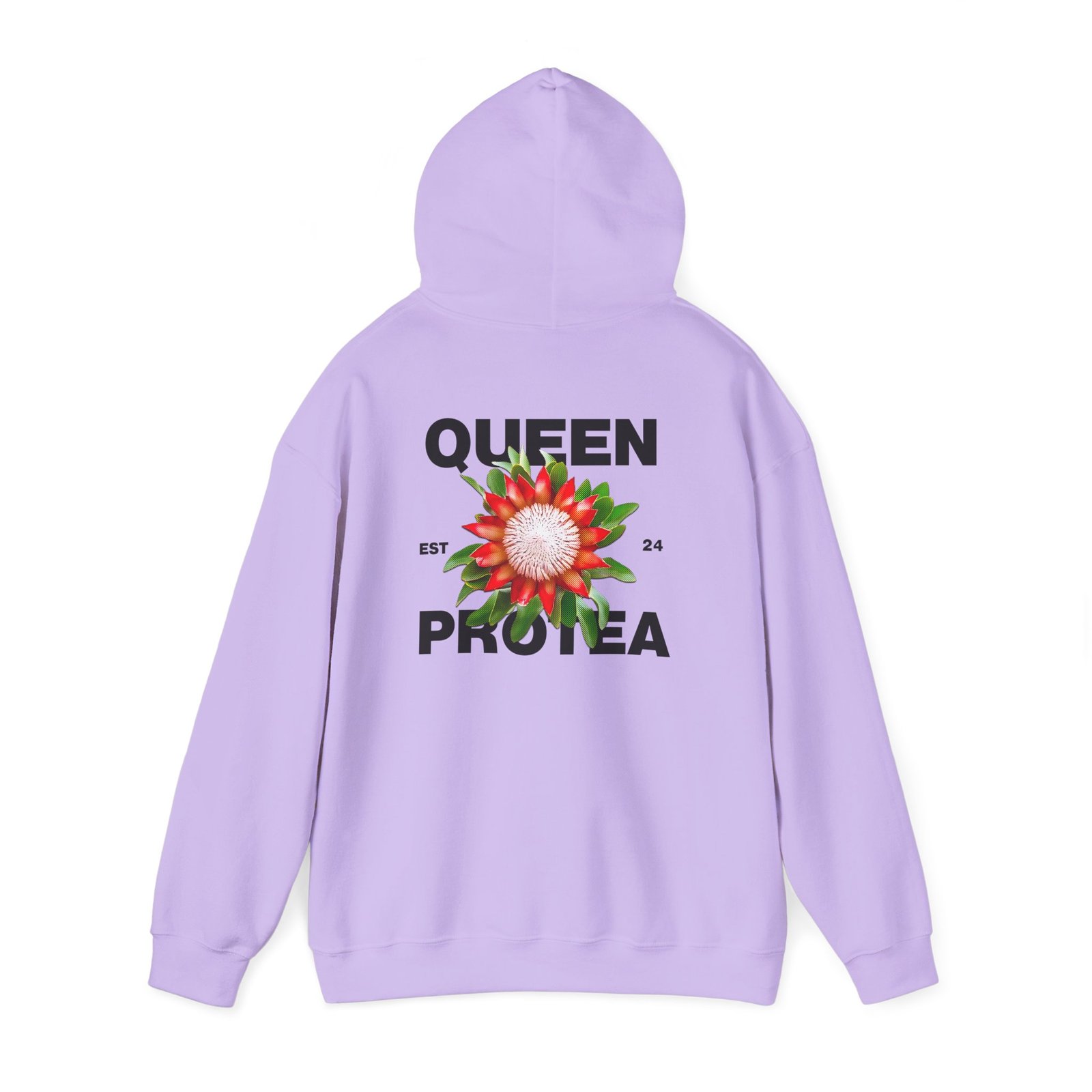 Queen Protea 7 Queen Protea