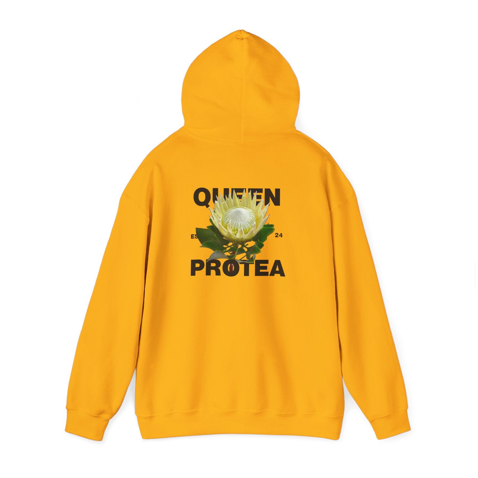 Queen Protea 11 Queen Protea