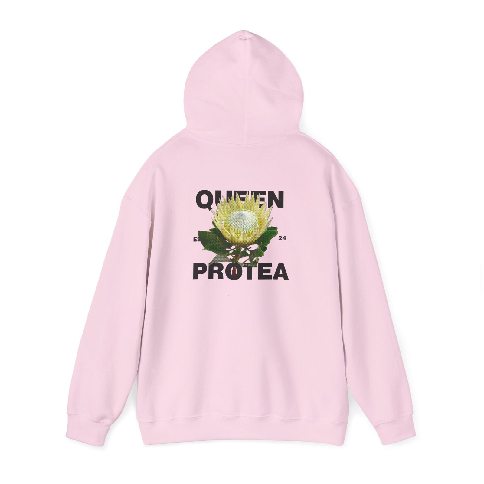 Queen Protea 5 Queen Protea