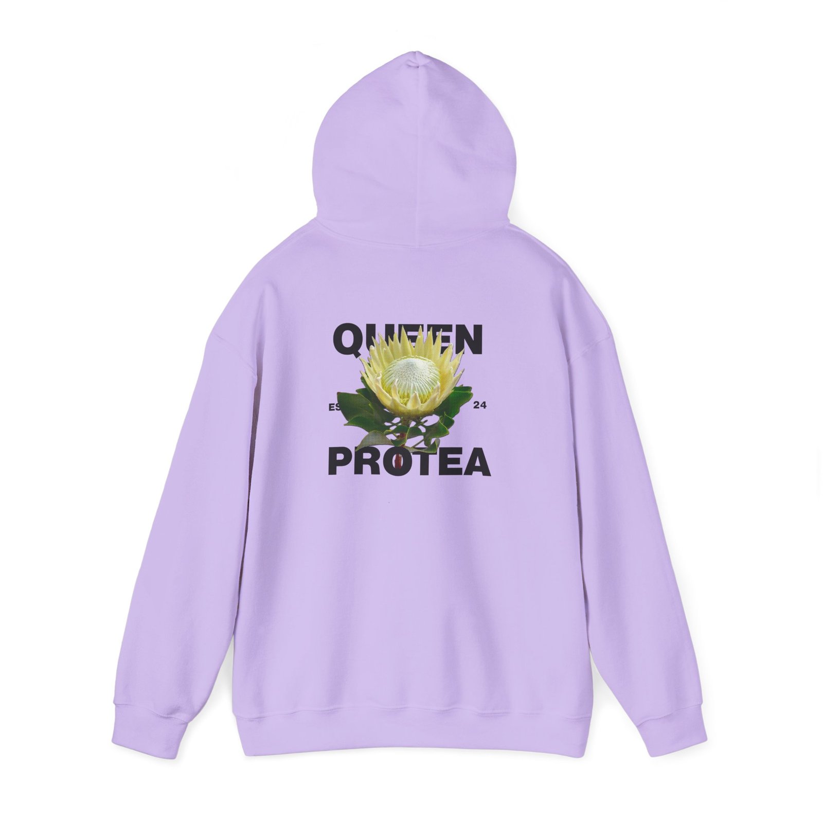 Queen Protea 15 Queen Protea