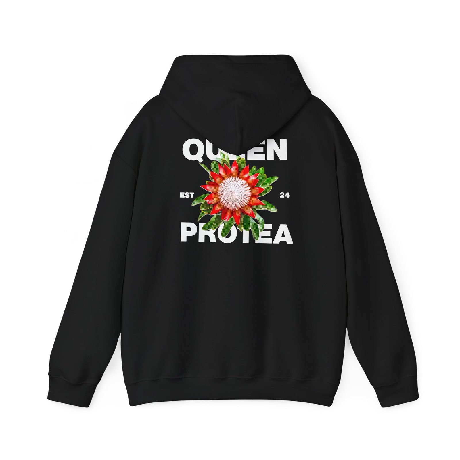 Queen Protea 4 Queen Protea